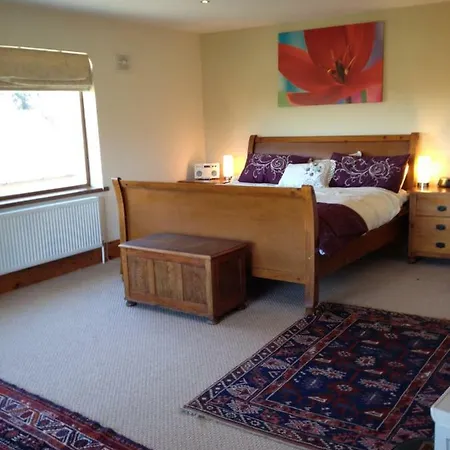 Tobernaglough Wexford Pet Friendly Country B&B Ramsgrange Exterior photo