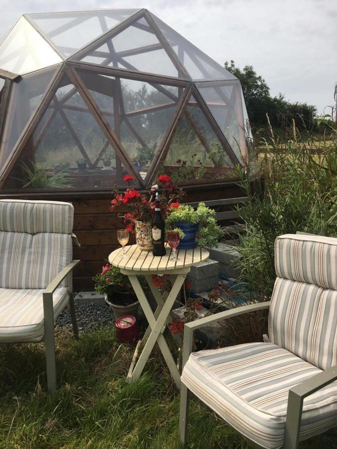 Tobernaglough Wexford Pet Friendly Country *
