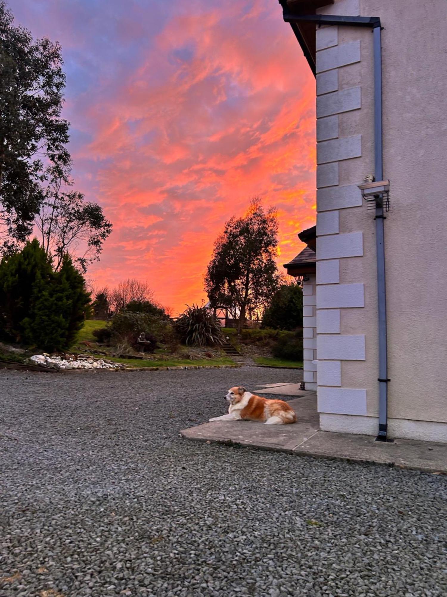 Country house Tobernaglough Wexford Pet Friendly Country *