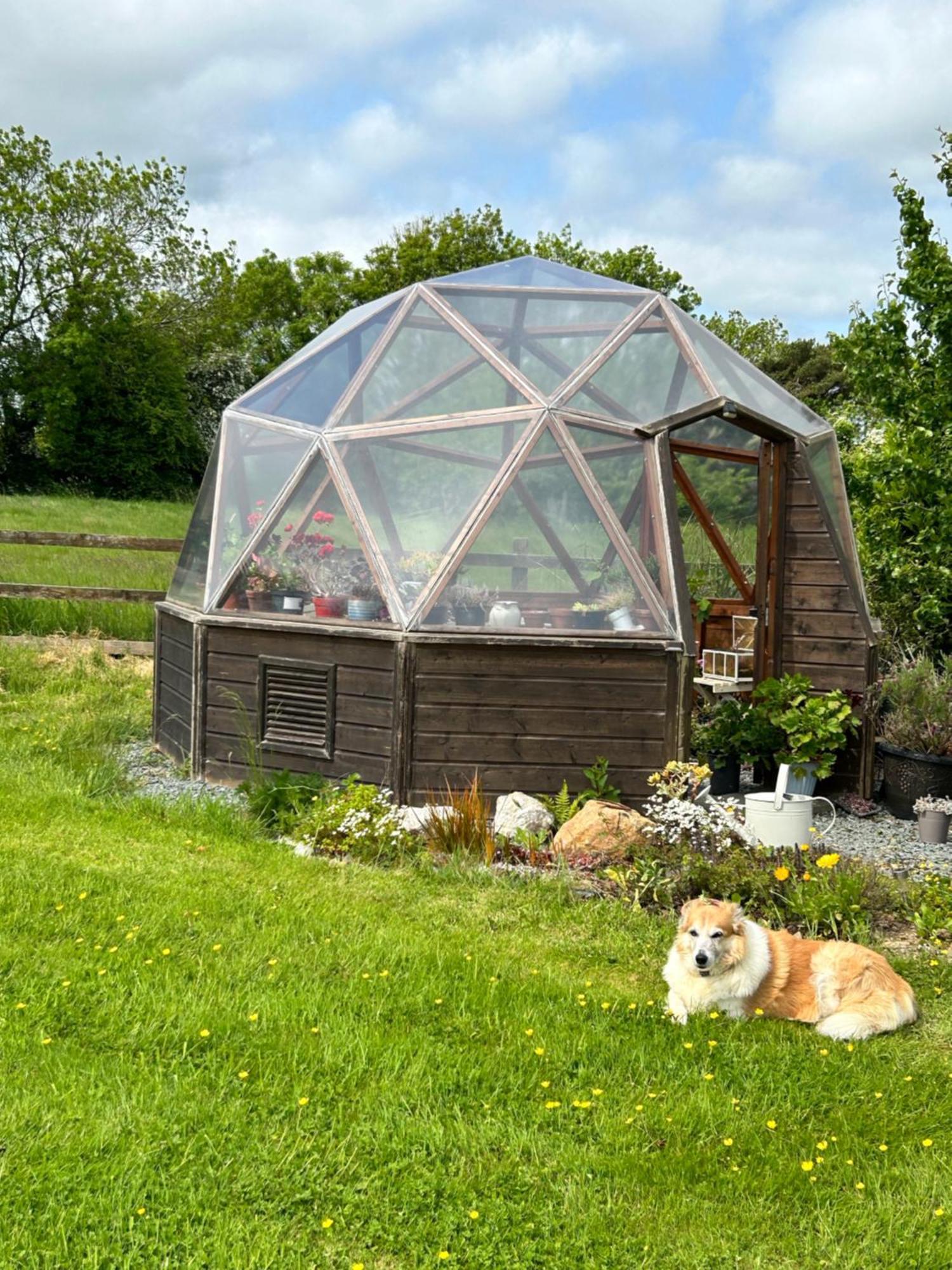 Landhaus Tobernaglough Wexford Pet Friendly Country Ramsgrange