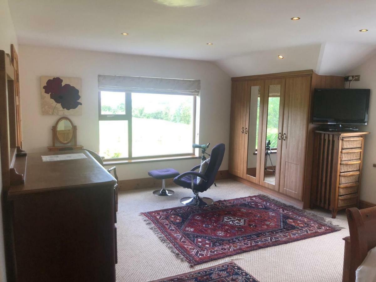 Tobernaglough Wexford Pet Friendly Country