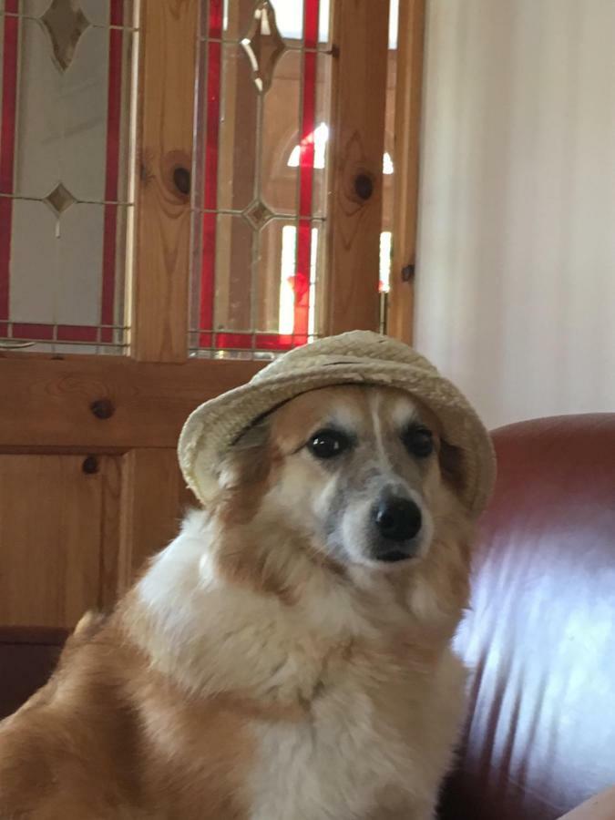Tobernaglough Wexford Pet Friendly Country Country house *