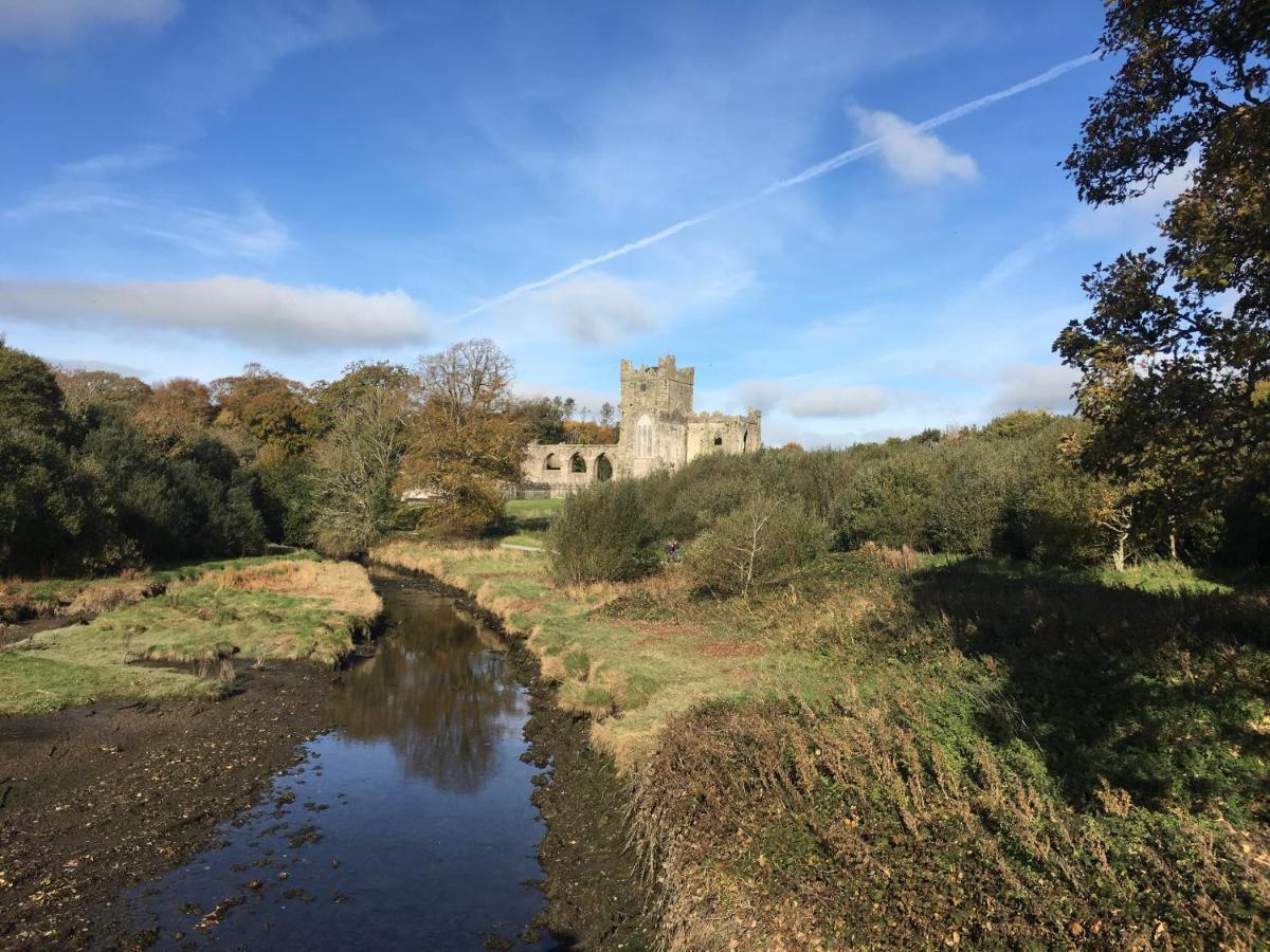 Tobernaglough Wexford Pet Friendly Country * Ramsgrange